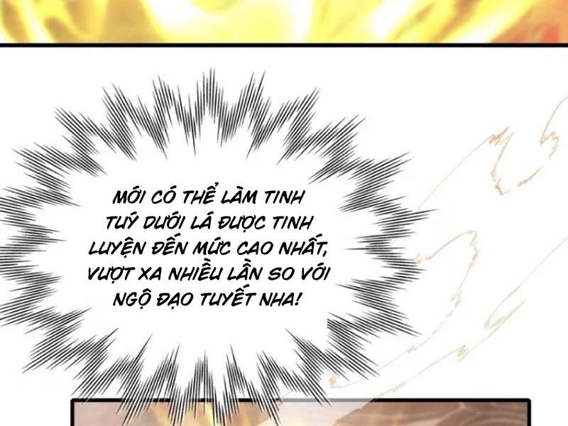 Hoá Ra Ta Đã Vô Địch Từ Lâu - Chapter 205 - Page 25