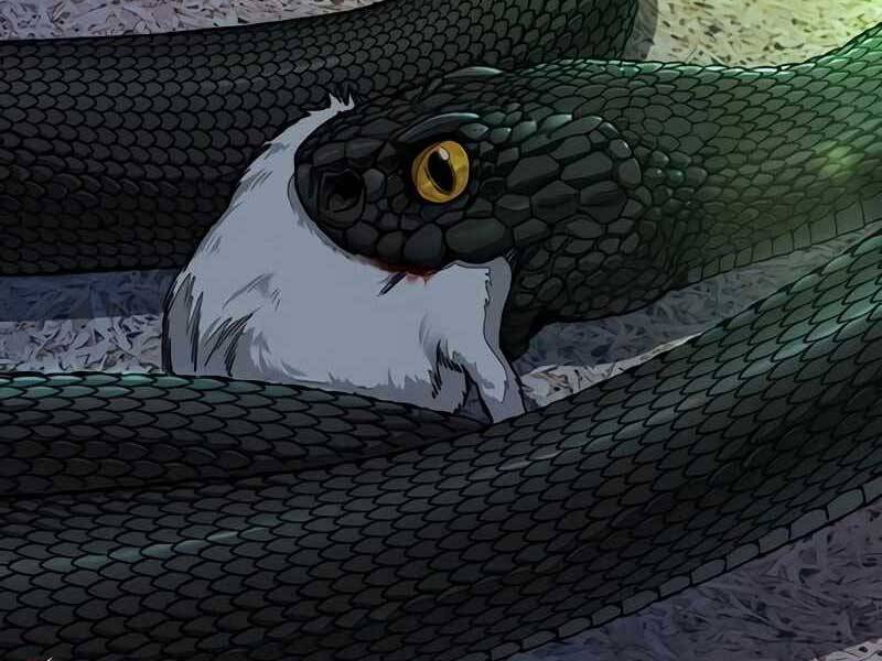 Thể Thao Cực Hạn - Chapter 524 - Page 334