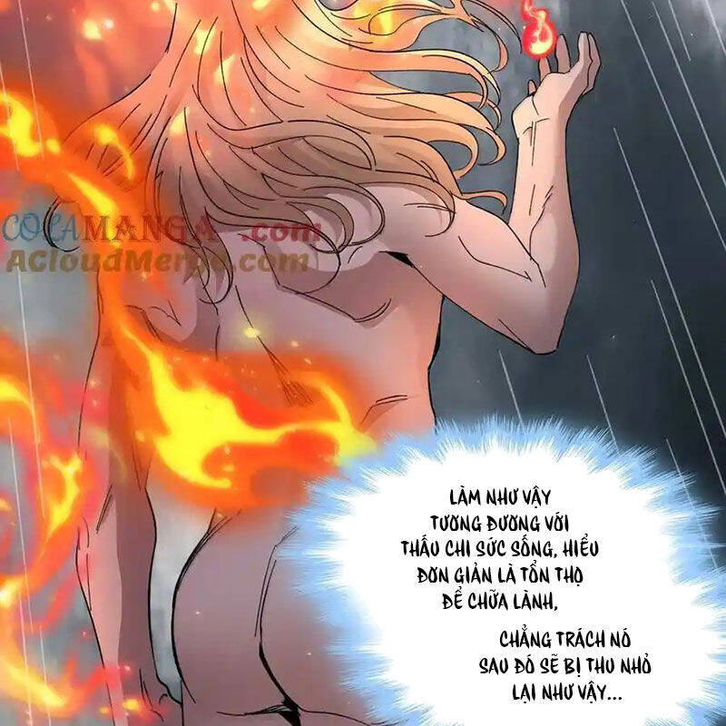 Sức Mạnh Của Ác Thần - Chapter 144 - Page 29