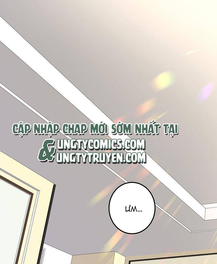 Tổng Tài Định Chế Tư Nhân - Chapter 1 - Page 3