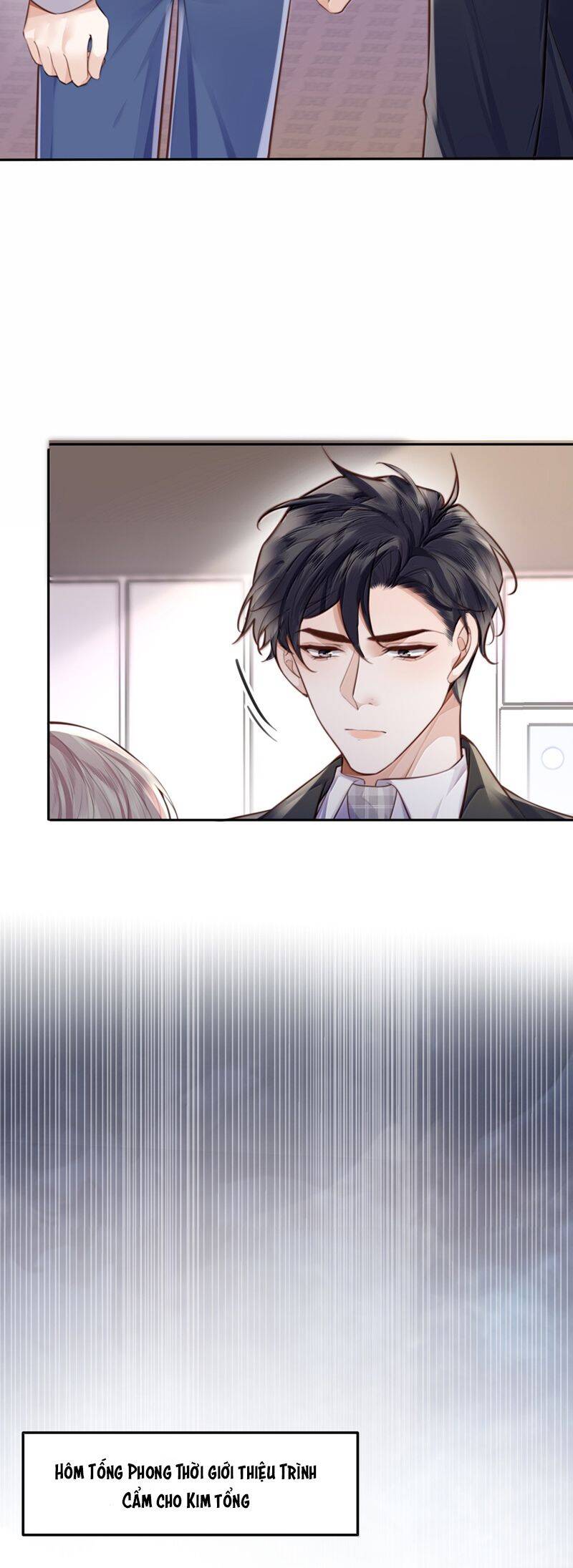 Tổng Tài Định Chế Tư Nhân - Chapter 112 - Page 13