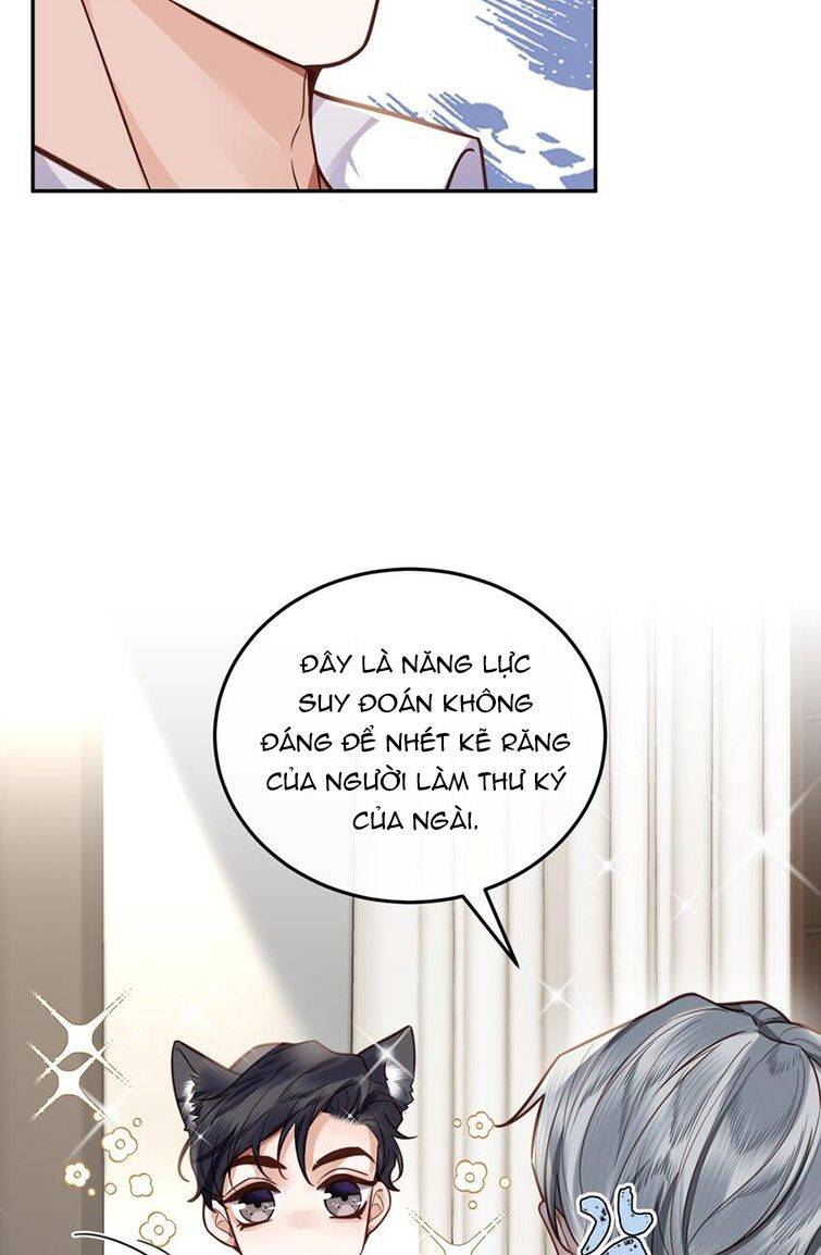 Tổng Tài Định Chế Tư Nhân - Chapter 19 - Page 41