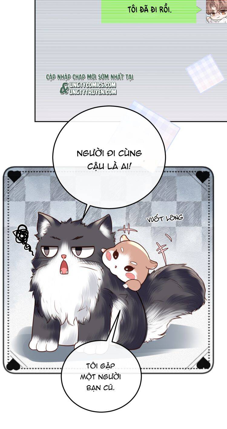 Tổng Tài Định Chế Tư Nhân - Chapter 23 - Page 5