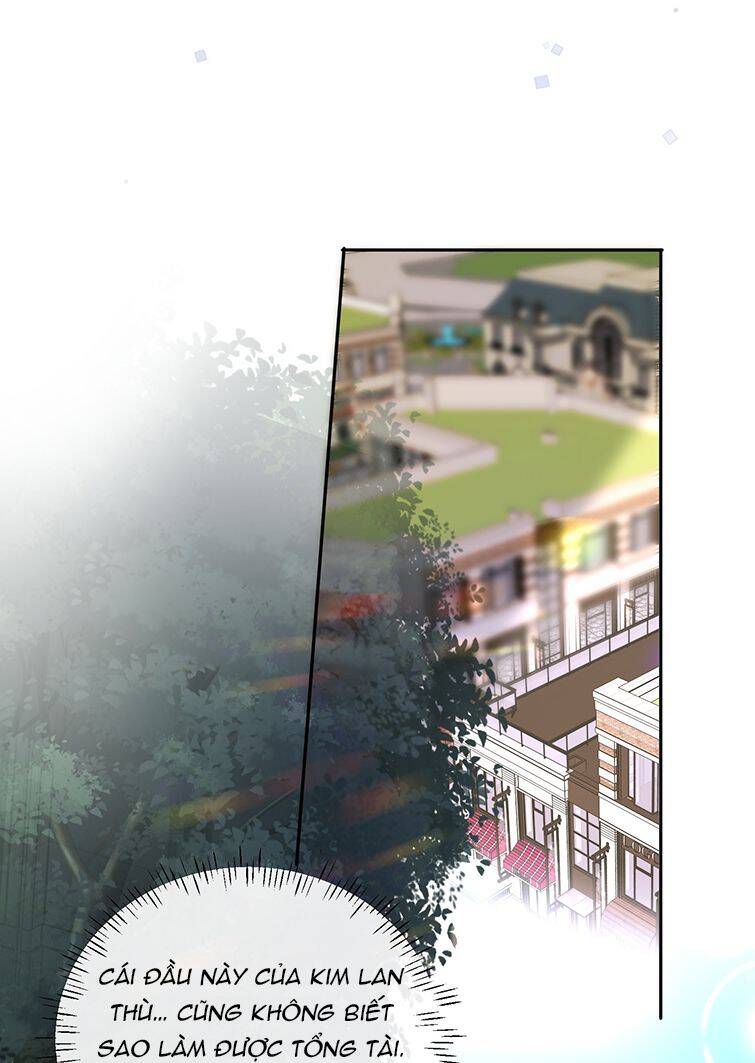 Tổng Tài Định Chế Tư Nhân - Chapter 27 - Page 22