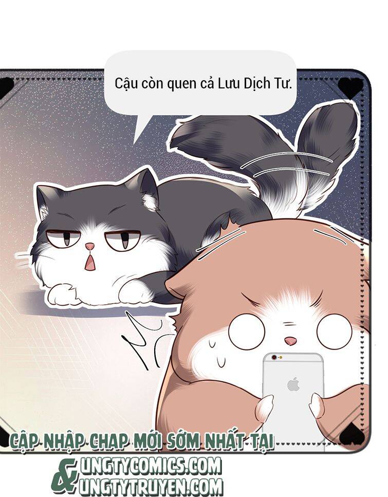 Tổng Tài Định Chế Tư Nhân - Chapter 27 - Page 40