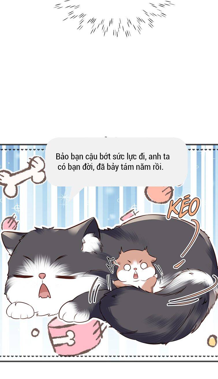 Tổng Tài Định Chế Tư Nhân - Chapter 27 - Page 42