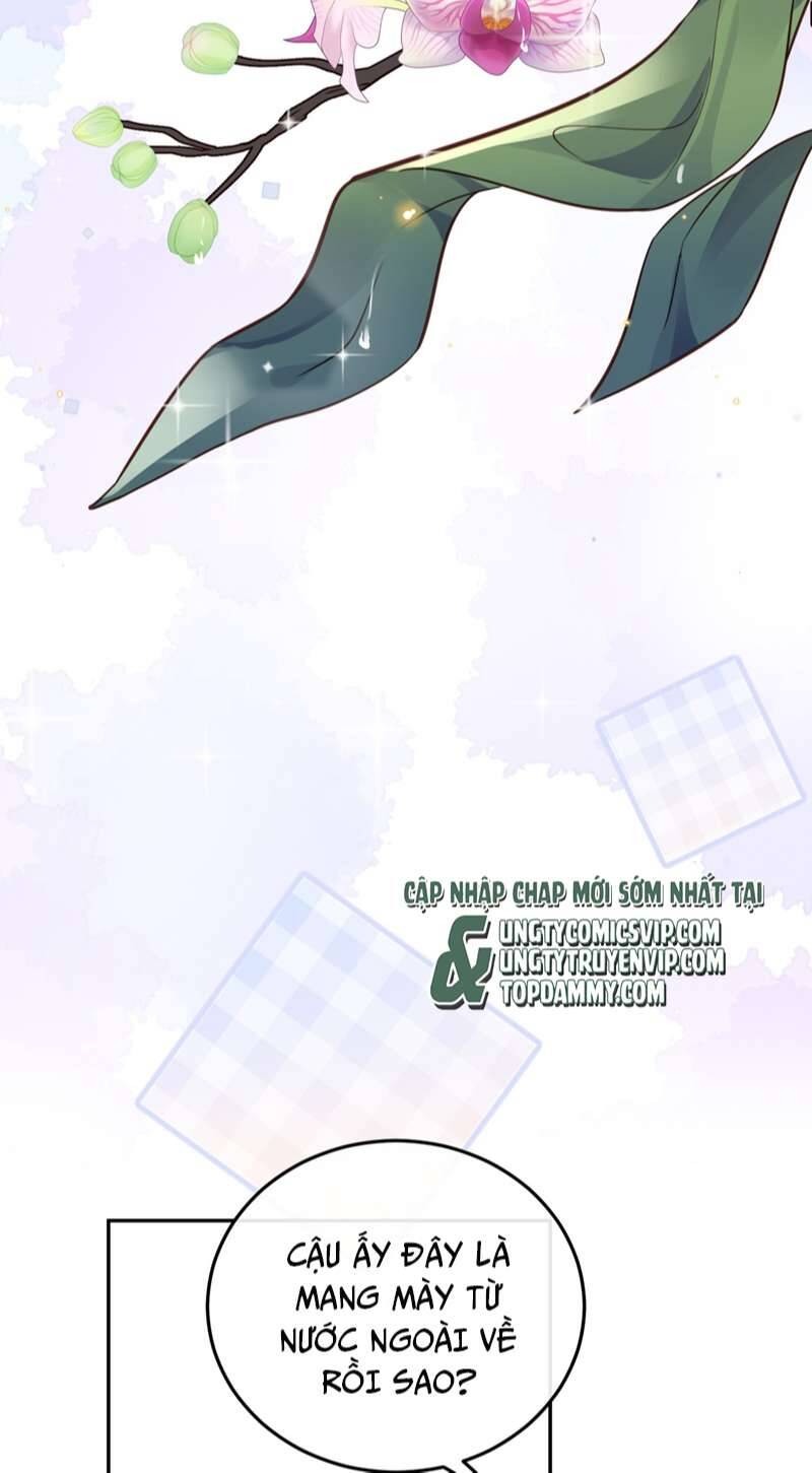 Tổng Tài Định Chế Tư Nhân - Chapter 44 - Page 24