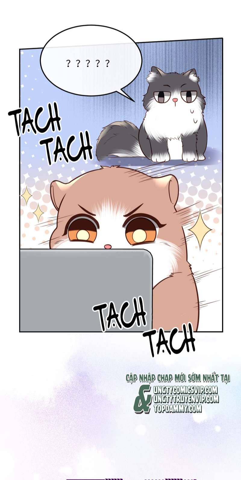 Tổng Tài Định Chế Tư Nhân - Chapter 44 - Page 41