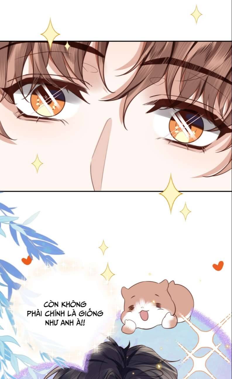 Tổng Tài Định Chế Tư Nhân - Chapter 57 - Page 5