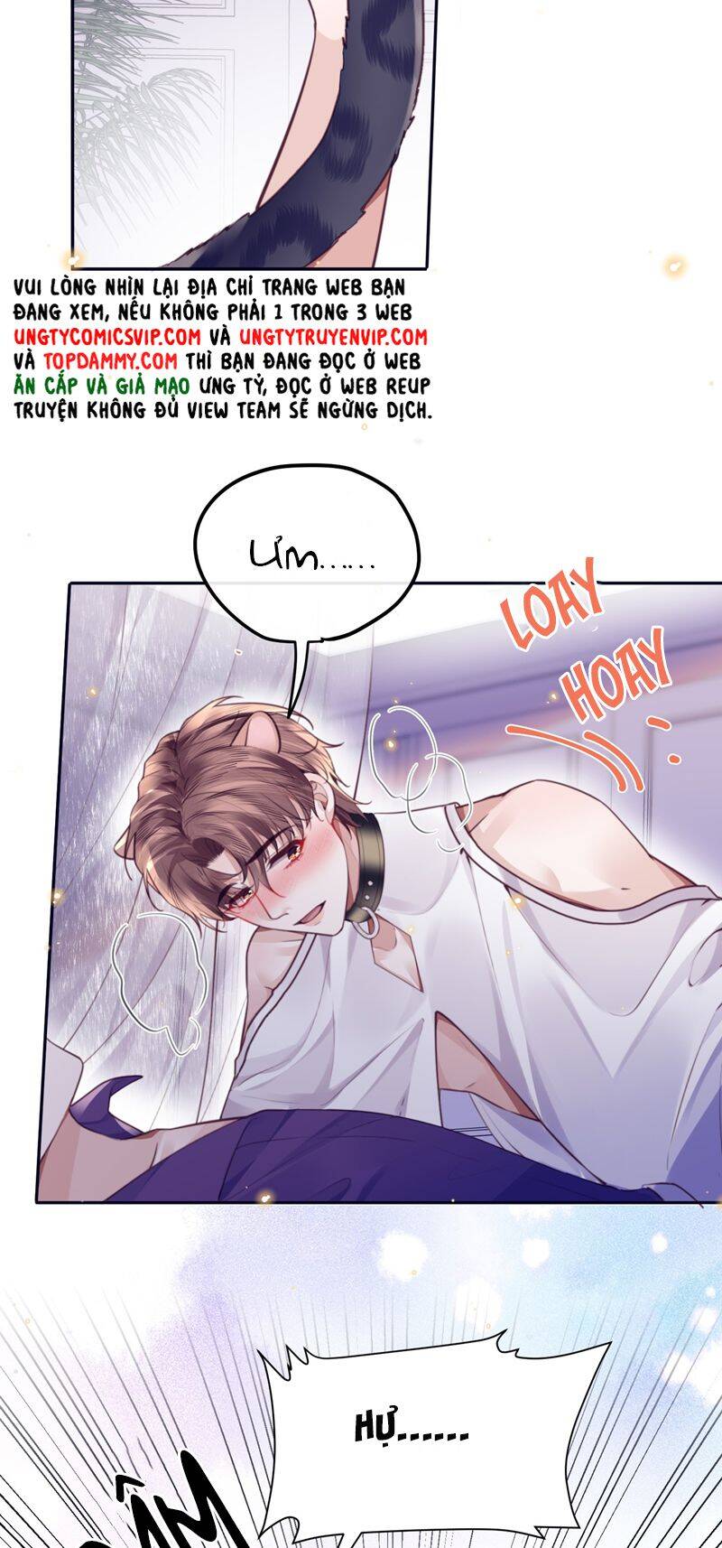 Tổng Tài Định Chế Tư Nhân - Chapter 77 - Page 20