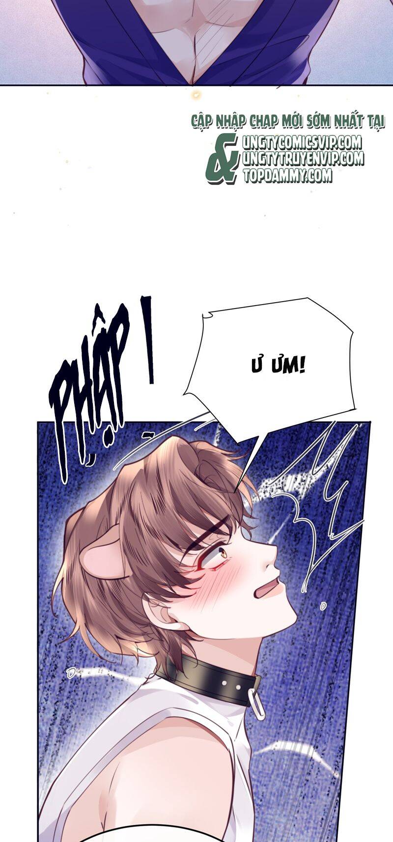 Tổng Tài Định Chế Tư Nhân - Chapter 77 - Page 27