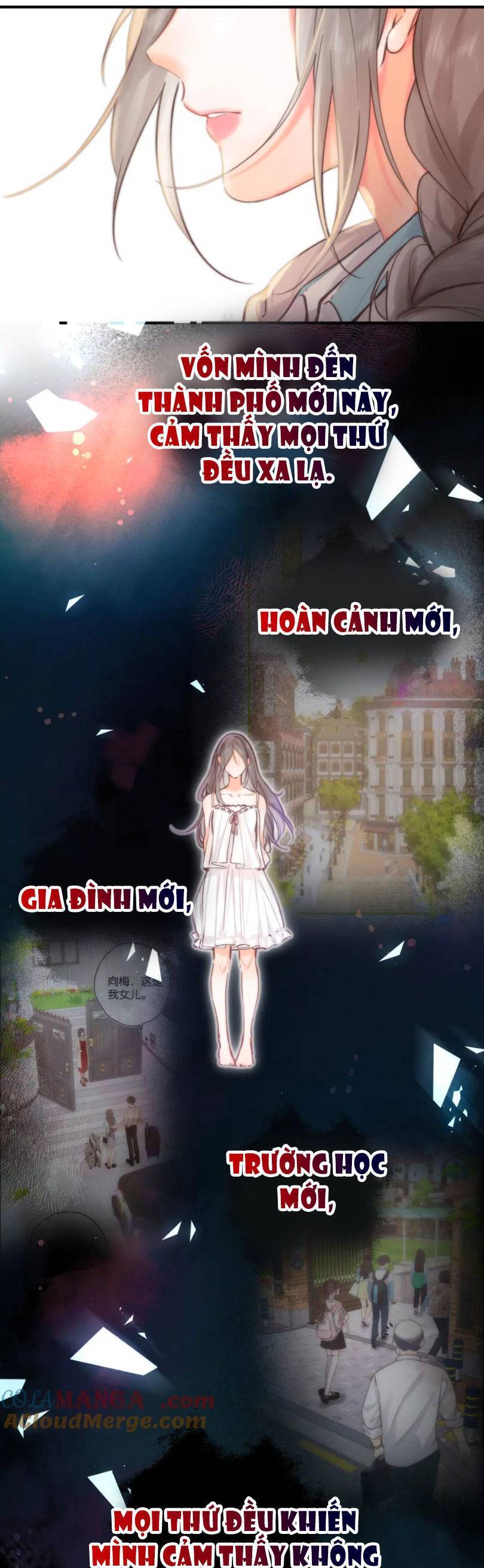 Tôi Mộng Giữa Ban Ngày - Chapter 62 - Page 6