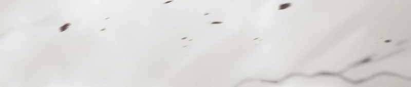 Sát thủ mạnh nhất chuyển sinh sang thế giới khác - Chapter 55 - Page 119