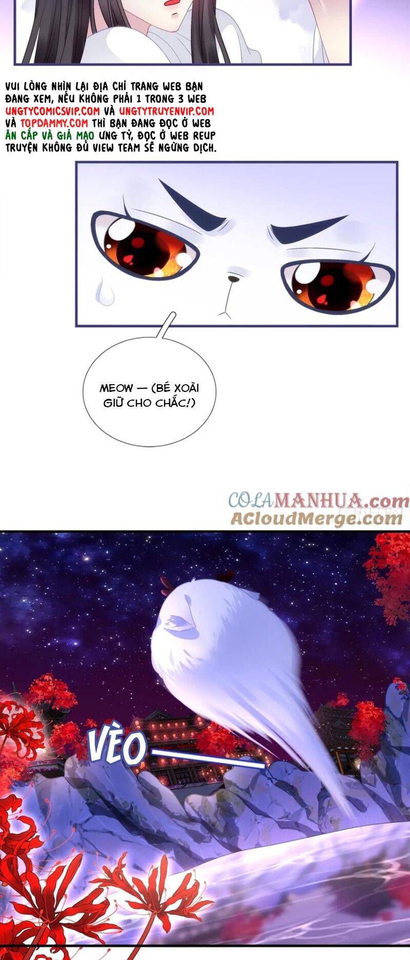 Hắc Hóa Đại Lão Thuần Dưỡng Chỉ Nam - Chapter 111 - Page 9