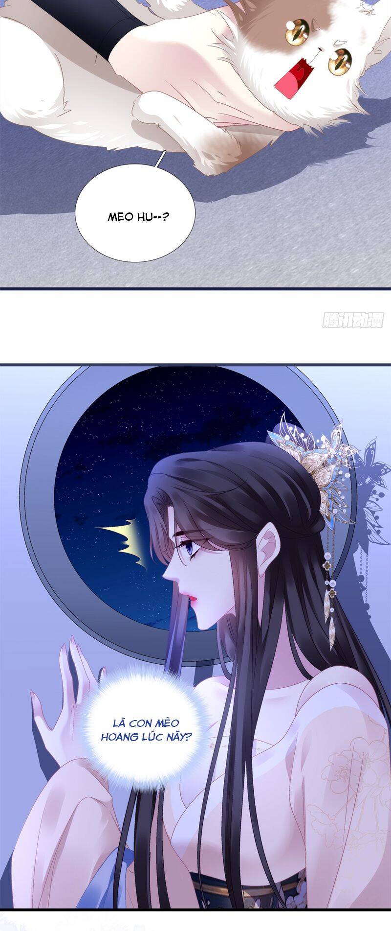 Hắc Hóa Đại Lão Thuần Dưỡng Chỉ Nam - Chapter 115 - Page 5