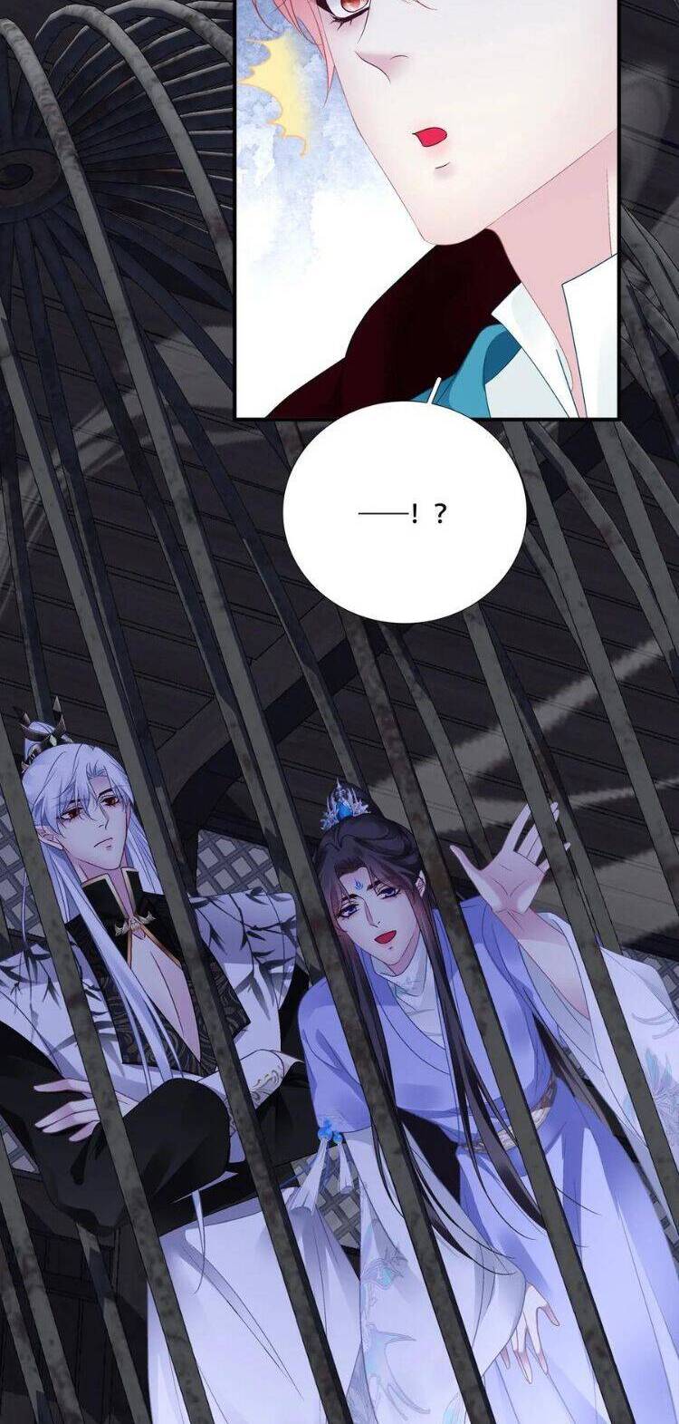 Hắc Hóa Đại Lão Thuần Dưỡng Chỉ Nam - Chapter 143 - Page 5