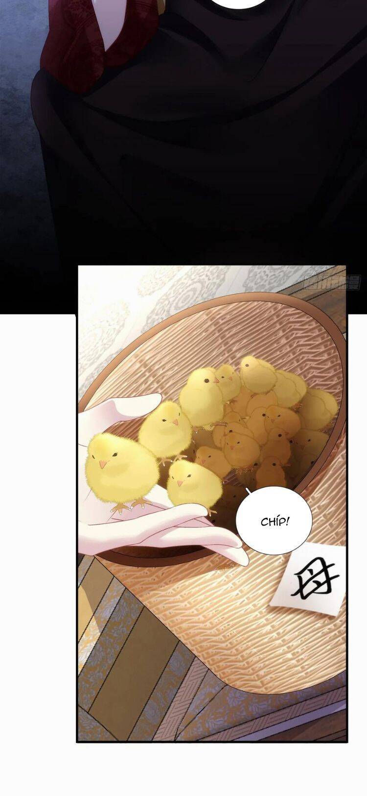 Hắc Hóa Đại Lão Thuần Dưỡng Chỉ Nam - Chapter 149 - Page 5