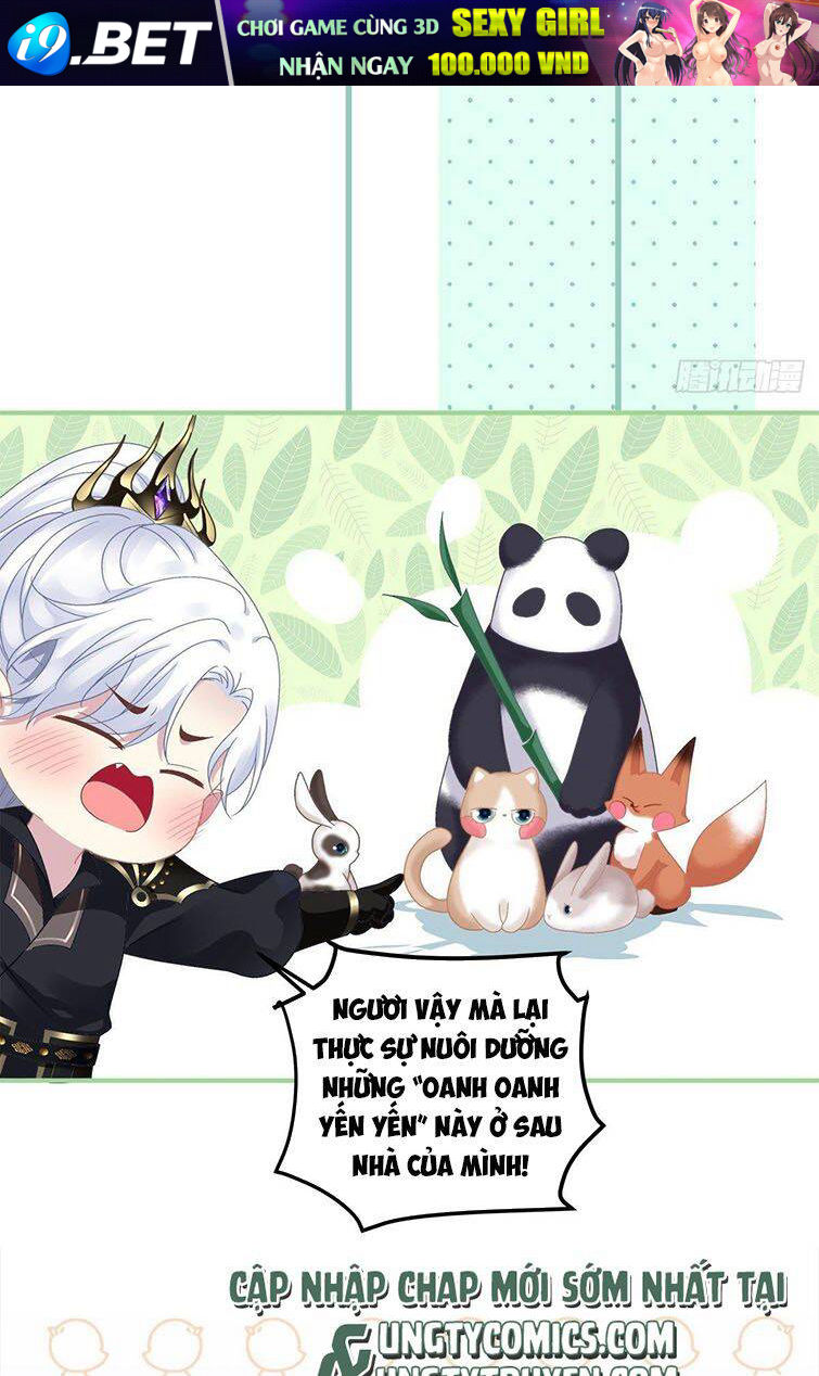 Hắc Hóa Đại Lão Thuần Dưỡng Chỉ Nam - Chapter 21 - Page 12