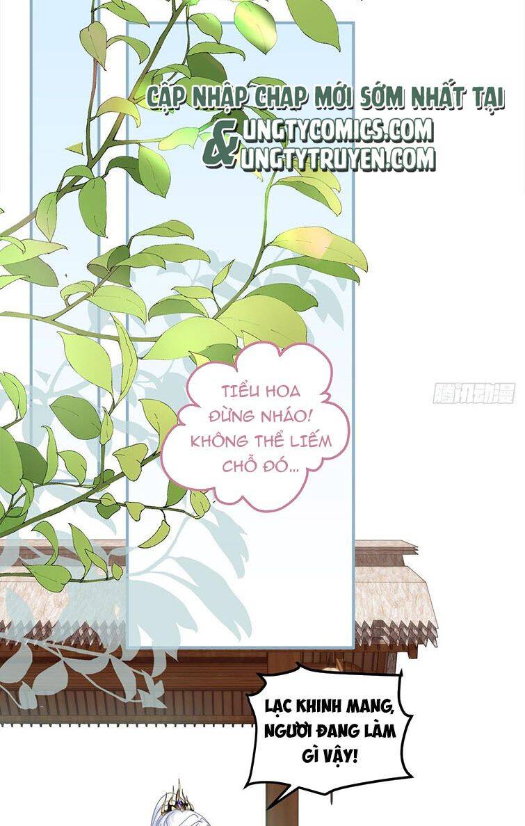 Hắc Hóa Đại Lão Thuần Dưỡng Chỉ Nam - Chapter 21 - Page 8