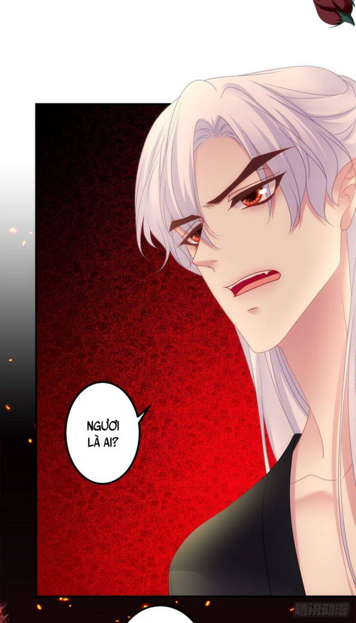 Hắc Hóa Đại Lão Thuần Dưỡng Chỉ Nam - Chapter 23 - Page 4