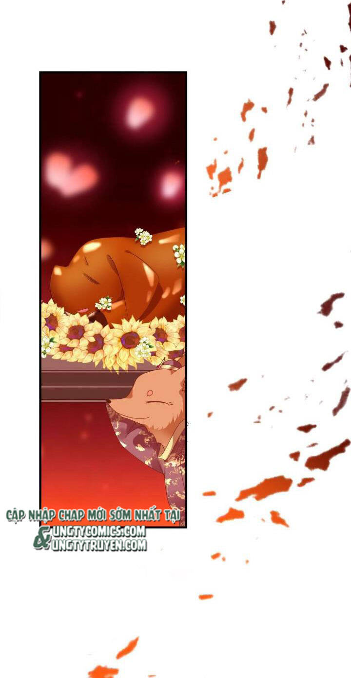 Hắc Hóa Đại Lão Thuần Dưỡng Chỉ Nam - Chapter 25 - Page 13