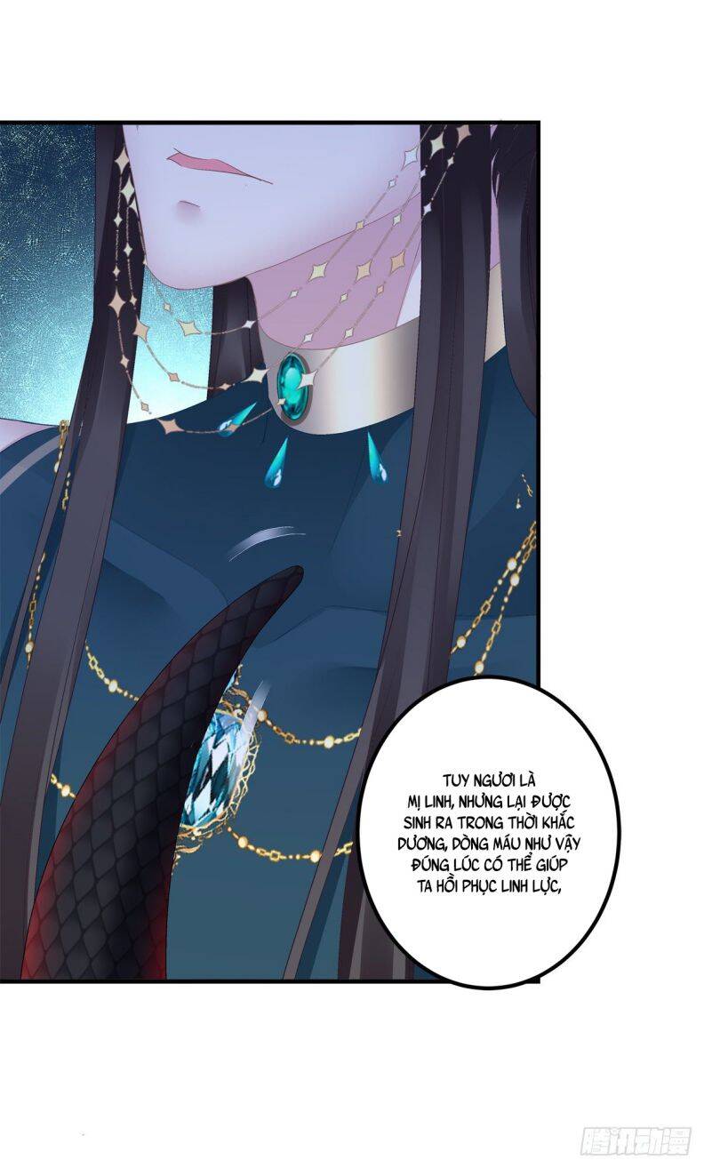 Hắc Hóa Đại Lão Thuần Dưỡng Chỉ Nam - Chapter 28 - Page 5