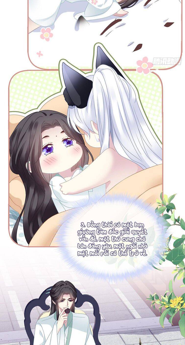 Hắc Hóa Đại Lão Thuần Dưỡng Chỉ Nam - Chapter 37 - Page 35