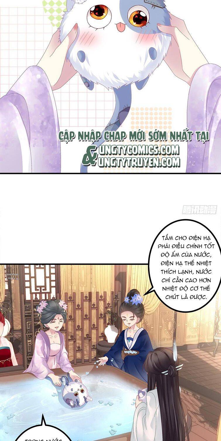 Hắc Hóa Đại Lão Thuần Dưỡng Chỉ Nam - Chapter 38 - Page 10