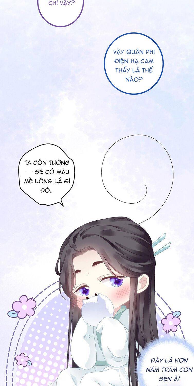 Hắc Hóa Đại Lão Thuần Dưỡng Chỉ Nam - Chapter 38 - Page 13