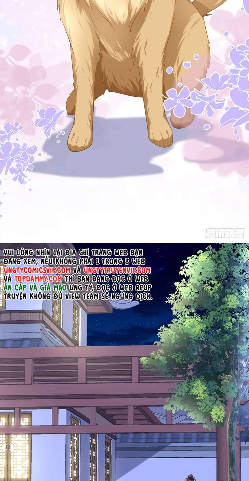 Hắc Hóa Đại Lão Thuần Dưỡng Chỉ Nam - Chapter 74 - Page 33