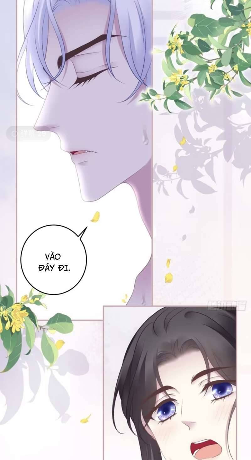 Hắc Hóa Đại Lão Thuần Dưỡng Chỉ Nam - Chapter 76 - Page 25