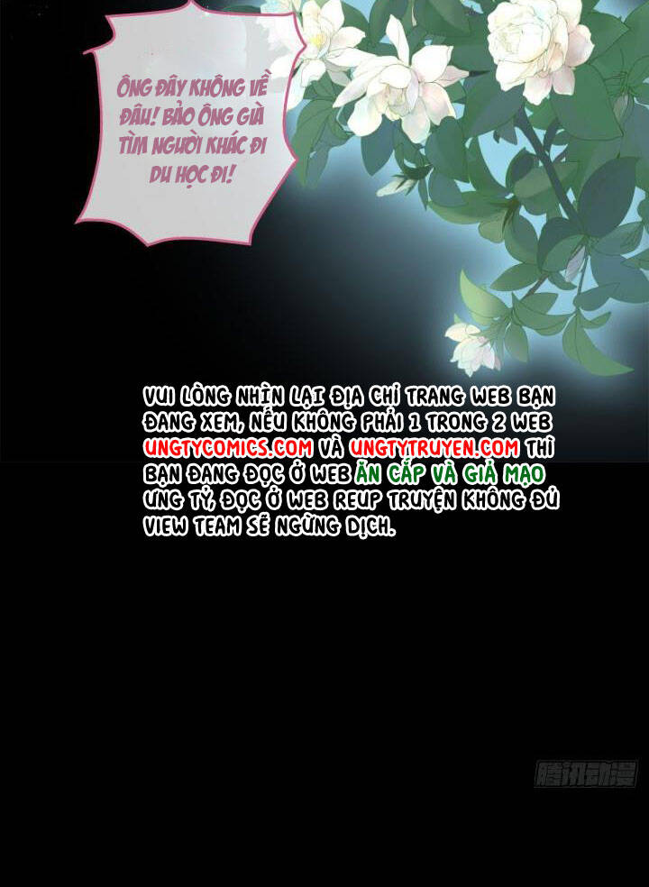 Hắc Hóa Đại Lão Thuần Dưỡng Chỉ Nam - Chapter 8 - Page 20