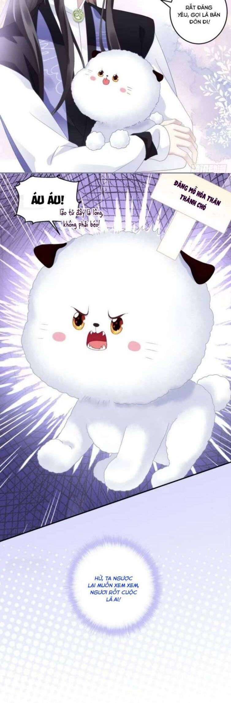 Hắc Hóa Đại Lão Thuần Dưỡng Chỉ Nam - Chapter 81 - Page 21