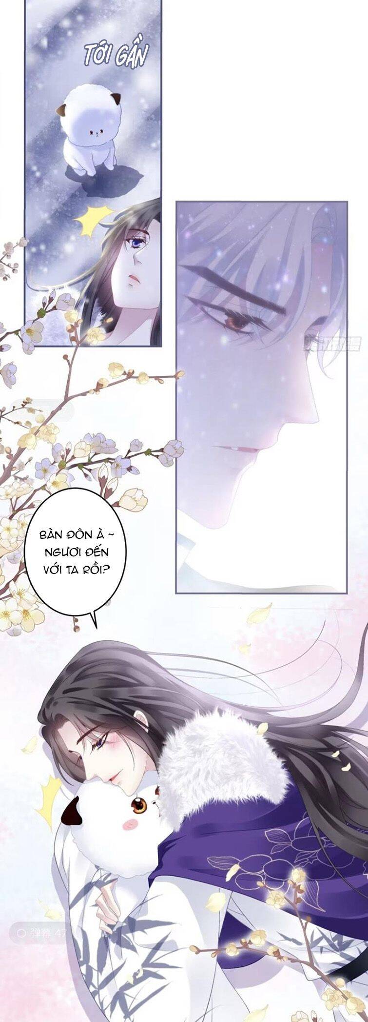 Hắc Hóa Đại Lão Thuần Dưỡng Chỉ Nam - Chapter 82 - Page 23