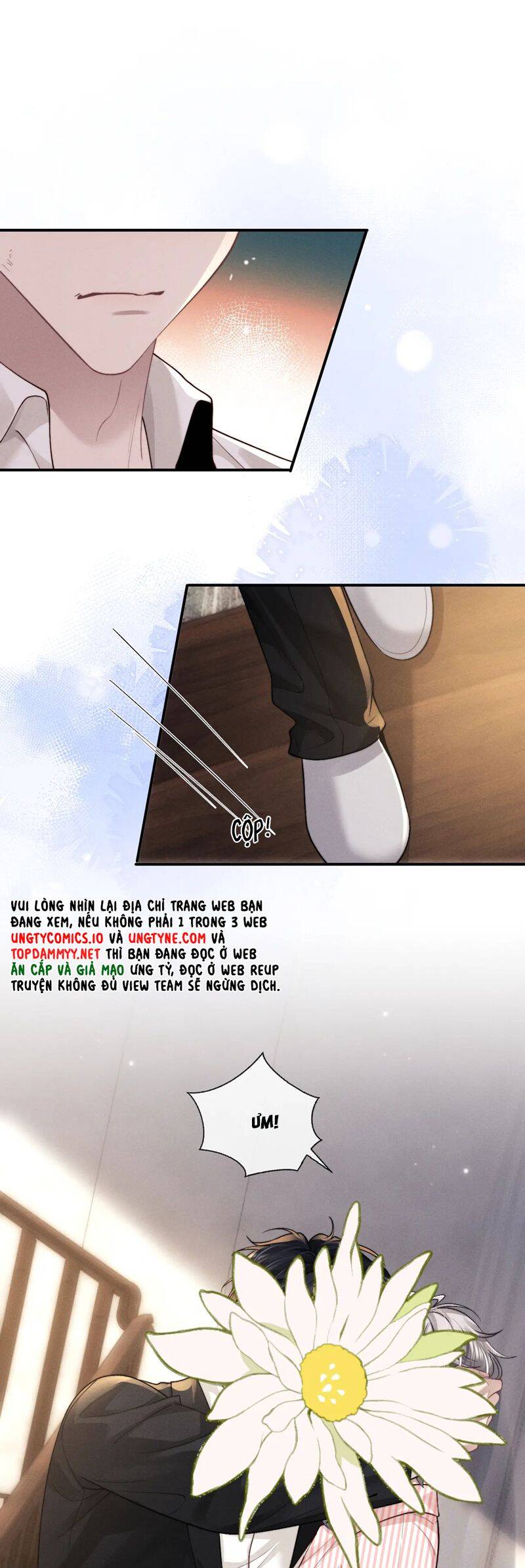 Chấp Sự Thỏ Cụp Tai - Chapter 135 - Page 16