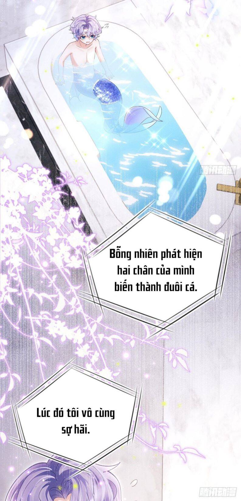 Tôi Hoài Nghi Ảnh Đế Đang Theo Đuổi Tôi Chapter 28 - Trang 5