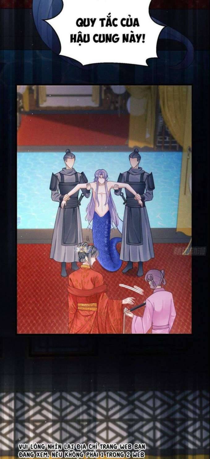 Tôi Hoài Nghi Ảnh Đế Đang Theo Đuổi Tôi Chapter 31 - Trang 71