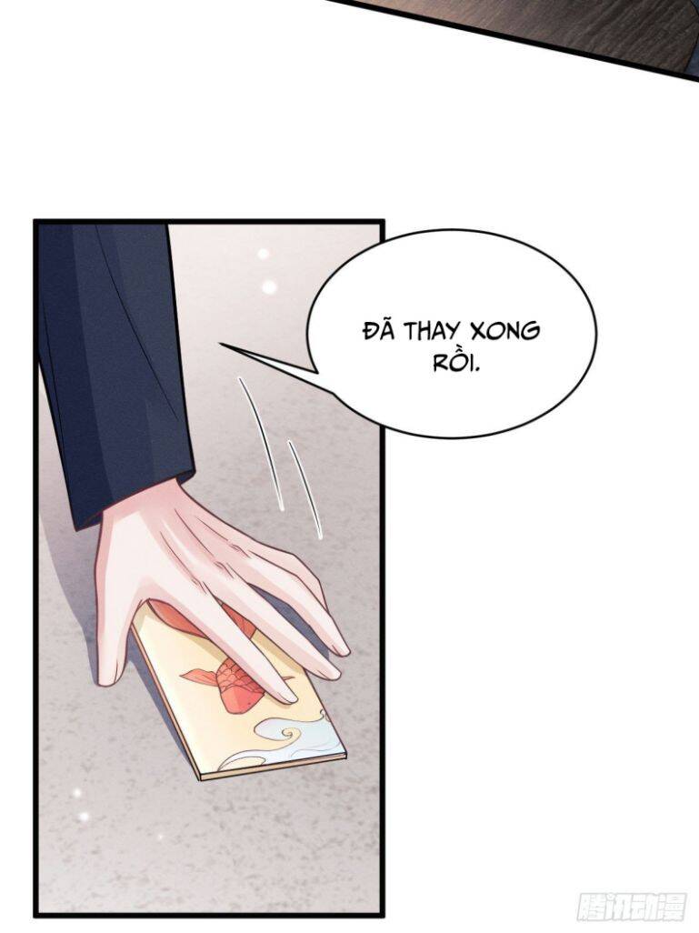 Tôi Hoài Nghi Ảnh Đế Đang Theo Đuổi Tôi Chapter 48 - Trang 10