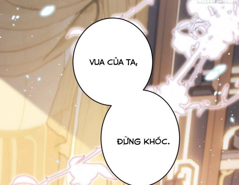 Tôi Hoài Nghi Ảnh Đế Đang Theo Đuổi Tôi Chapter 6 - Trang 73