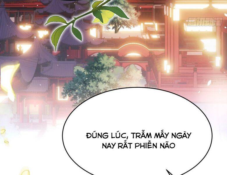 Tôi Hoài Nghi Ảnh Đế Đang Theo Đuổi Tôi Chapter 6 - Trang 9