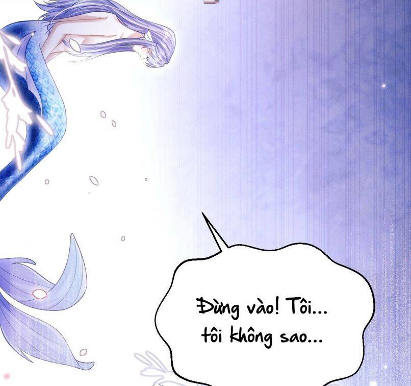 Tôi Hoài Nghi Ảnh Đế Đang Theo Đuổi Tôi Chapter 60 - Trang 24