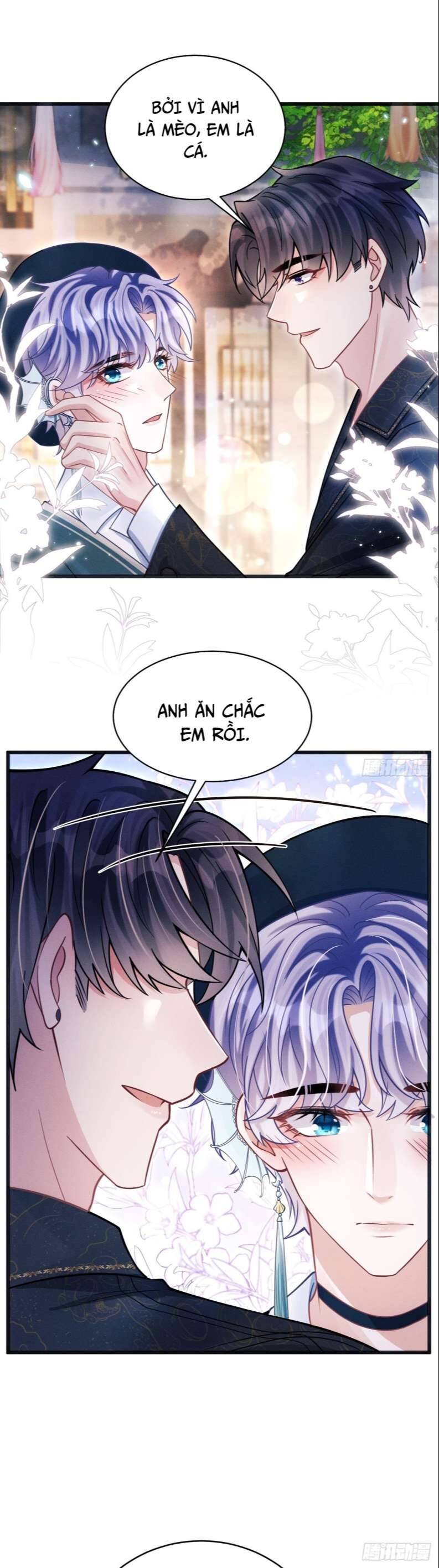 Tôi Hoài Nghi Ảnh Đế Đang Theo Đuổi Tôi Chapter 67 - Trang 19