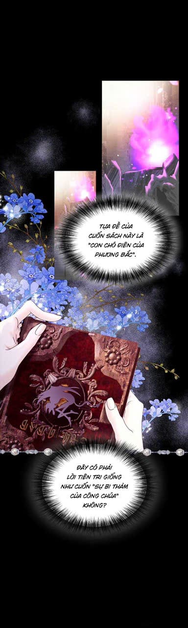 Ác Nữ Thuần Hóa Ác Quỷ Điên Rồ - Chapter 3 - Page 17