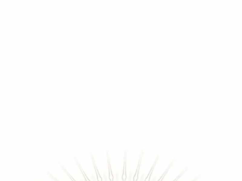 Kim Chiến Sĩ: Hành Trình Xây Dựng Đặc Tính - Chapter 14 - Page 81