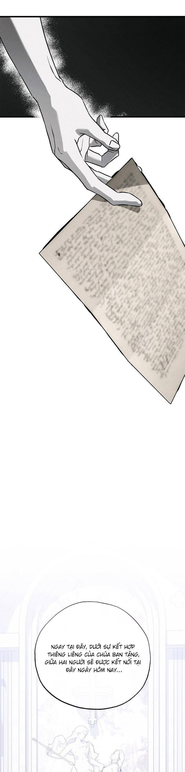 Vị Phu Quân Căm Ghét Tôi Đã Mất Trí Nhớ - Chapter 51 - Page 28