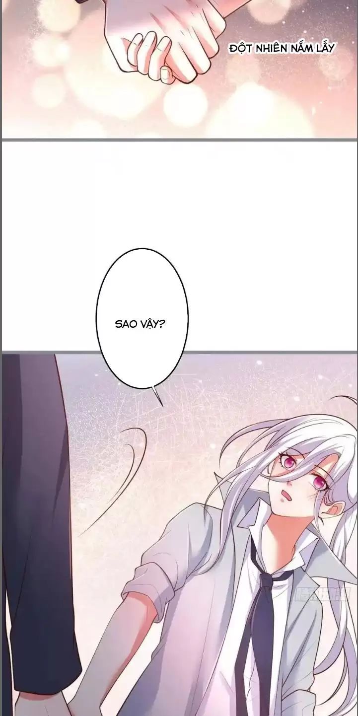 Hắc Đạo Này Có Chút Manh - Chapter 242 - Page 27