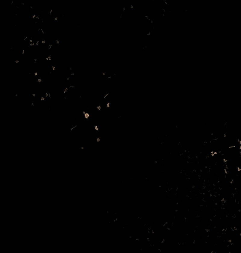 Tuyệt Xử Phùng Sinh Chapter 17 - Trang 12