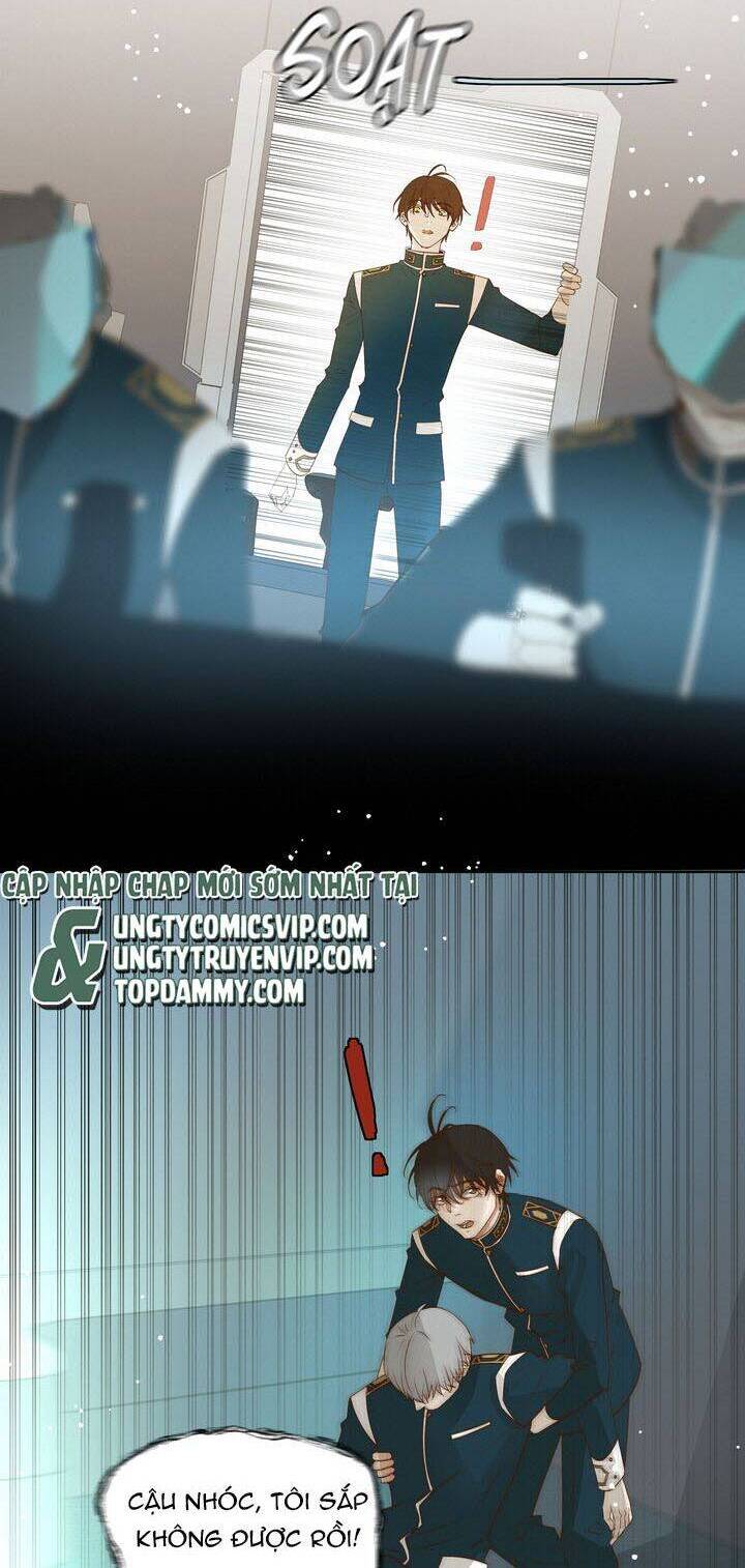 Tuyệt Xử Phùng Sinh Chapter 27 - Trang 33
