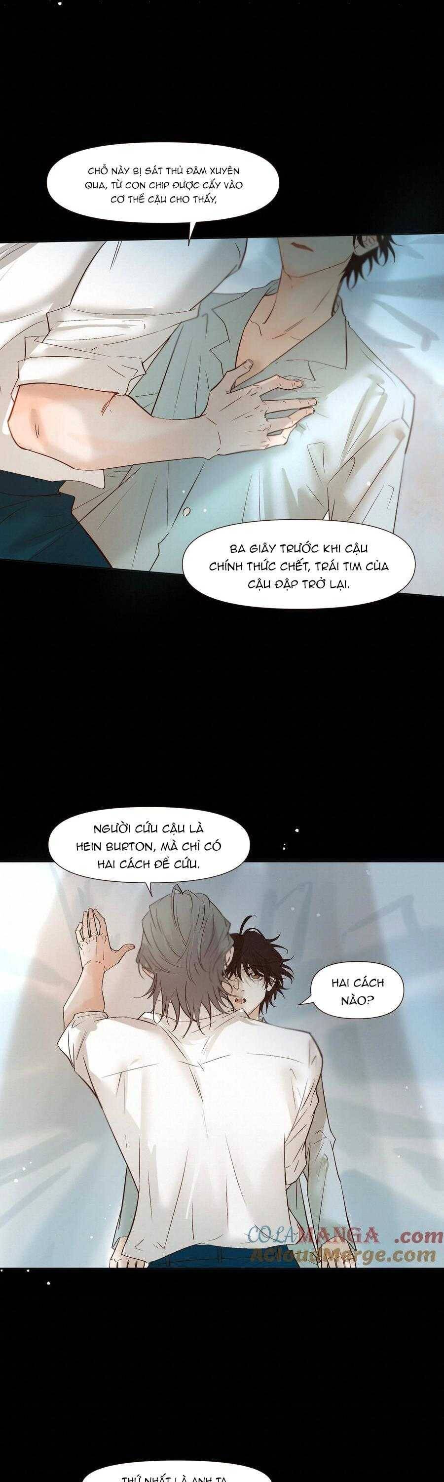 Tuyệt Xử Phùng Sinh - Chapter 52 - Page 19