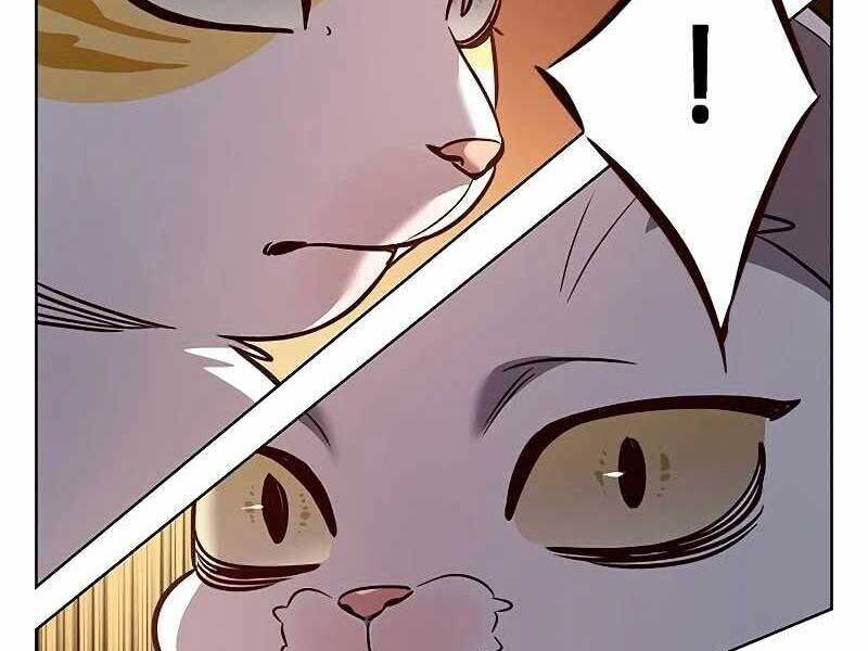 Hoá Thân Thành Mèo - Chapter 325 - Page 114